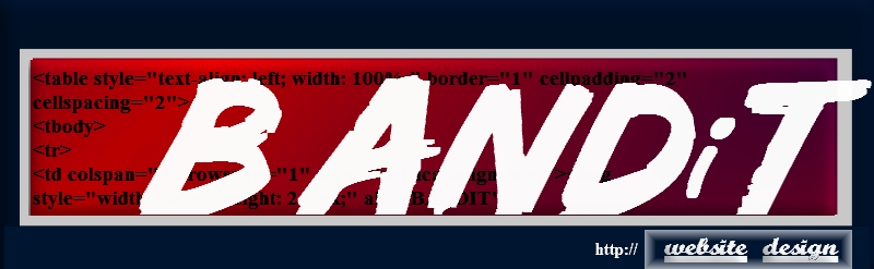Bandit Website Design